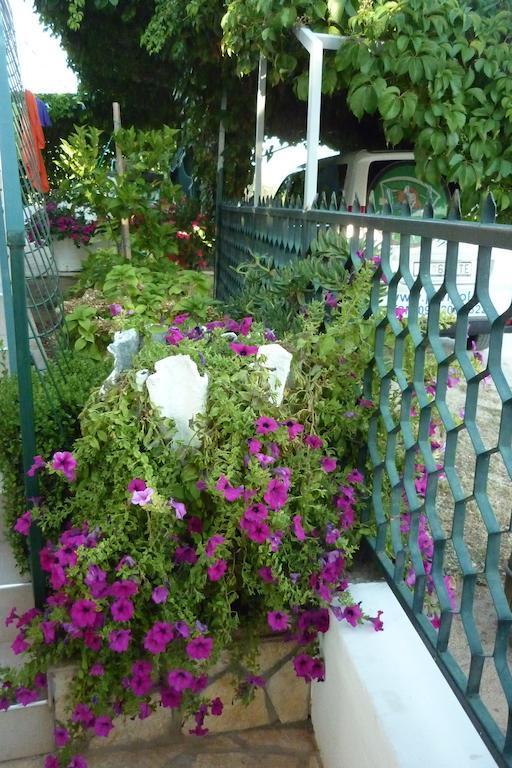 Apartment Boja Biograd Na Moru Zewnętrze zdjęcie